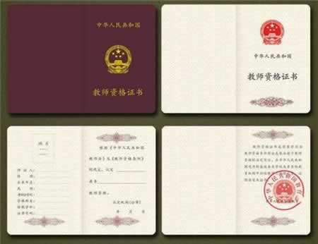 广东教师资格证书中的各项编号分别代表什么？